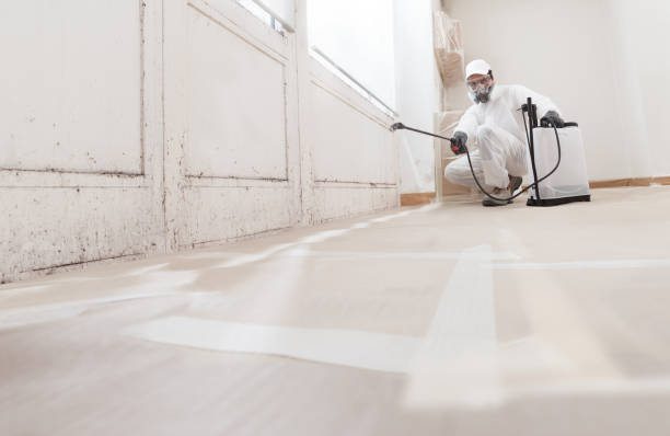 24/7 Emergency Mold Remediation experts in Grand Prairie, TX
